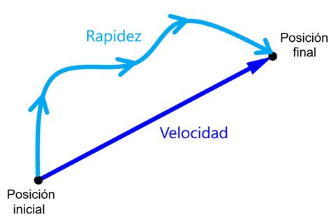 raeridez|rapidez definition.